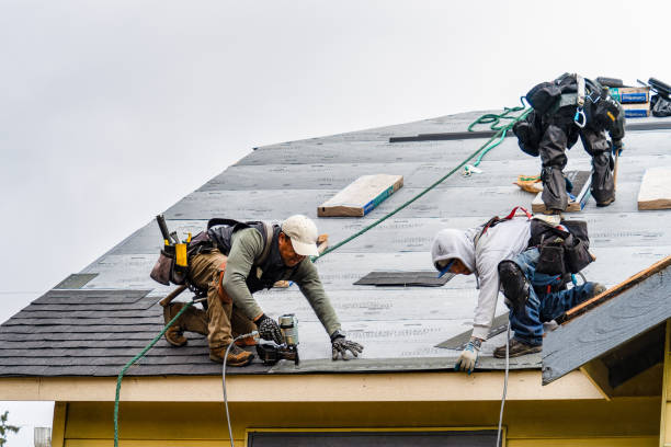 Professional Roofing technician working in Loretto, MN
